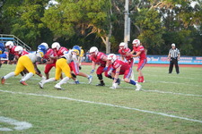 Enlarge photo 118