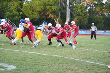 Enlarge photo 120