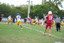 Enlarge photo 129