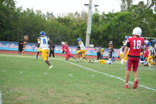Enlarge photo 133