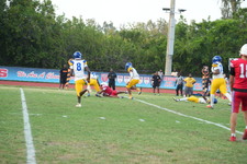 Enlarge photo 134