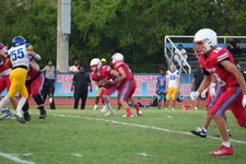 Enlarge photo 143