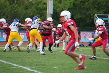 Enlarge photo 145