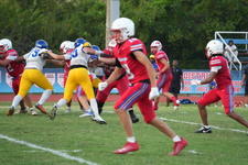 Enlarge photo 146
