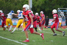 Enlarge photo 147