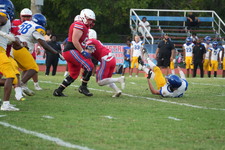 Enlarge photo 153