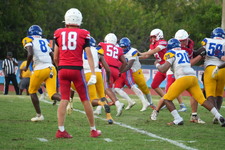 Enlarge photo 161
