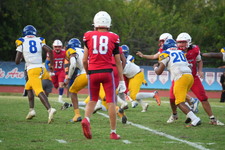Enlarge photo 163