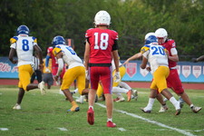 Enlarge photo 164