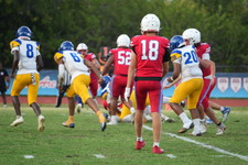 Enlarge photo 166