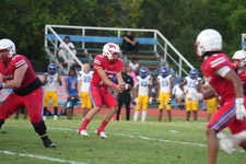 Enlarge photo 174
