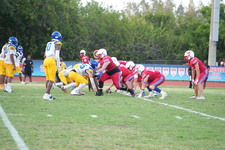Enlarge photo 221