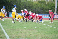 Enlarge photo 223