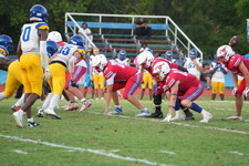 Enlarge photo 225