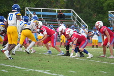 Enlarge photo 226