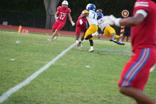 Enlarge photo 250