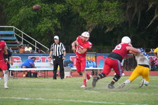 Enlarge photo 258
