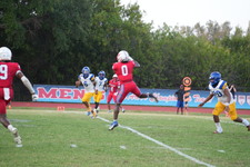 Enlarge photo 259