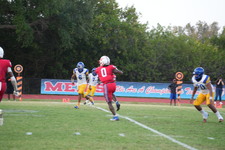 Enlarge photo 260