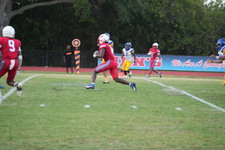 Enlarge photo 262
