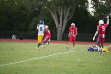 Enlarge photo 274
