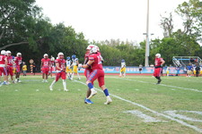 Enlarge photo 302