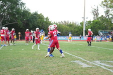 Enlarge photo 303