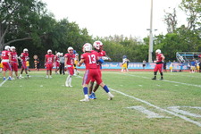 Enlarge photo 305