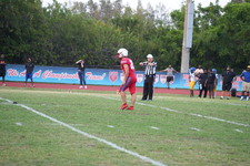 Enlarge photo 308