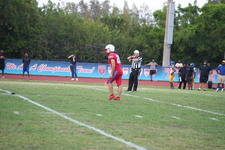 Enlarge photo 309