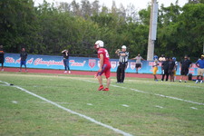 Enlarge photo 310