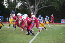 Enlarge photo 311