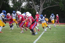 Enlarge photo 314