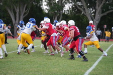 Enlarge photo 317