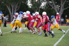 Enlarge photo 319