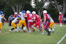 Enlarge photo 320