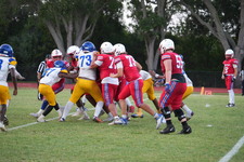 Enlarge photo 321