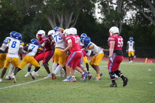 Enlarge photo 324