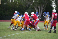 Enlarge photo 331