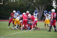 Enlarge photo 332