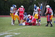 Enlarge photo 335