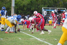 Enlarge photo 356