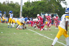 Enlarge photo 363