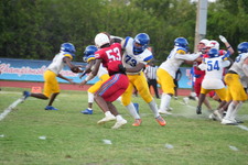 Enlarge photo 376