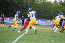 Enlarge photo 384