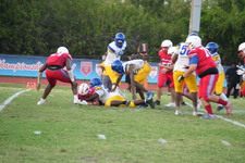 Enlarge photo 386