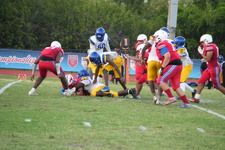 Enlarge photo 387