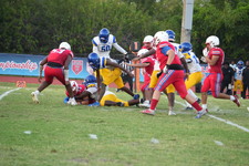 Enlarge photo 388