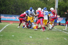 Enlarge photo 391