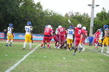 Enlarge photo 393